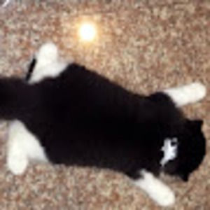 Meet your Posher, Sonia